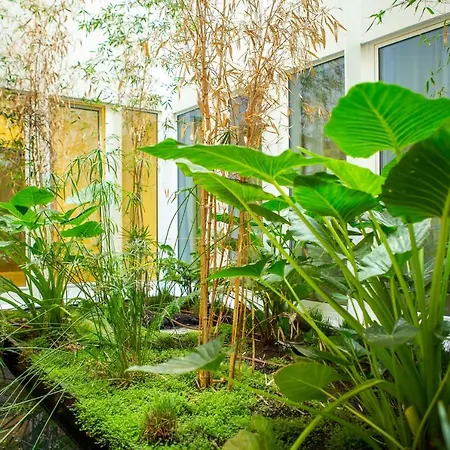 Whome | Ribeira 11 Design