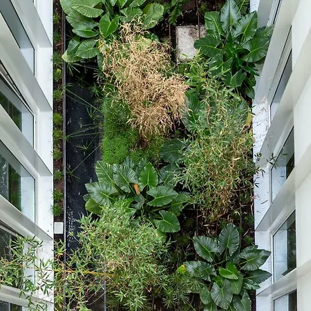 아파트 Whome | Ribeira 11 Design