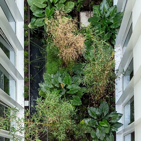 Apartment Whome | Ribeira 11 Design